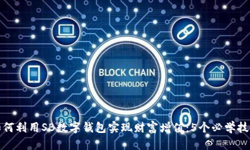 如何利用SB数字钱包实现财富增值：5个必学技巧