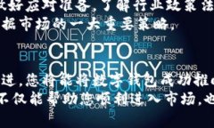    如何成功推出数字钱包