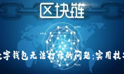 解决GoPay数字钱包无法打开的问题：实用技巧与全面指南