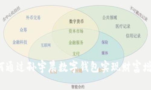 如何通过孙宇晨数字钱包实现财富增值？