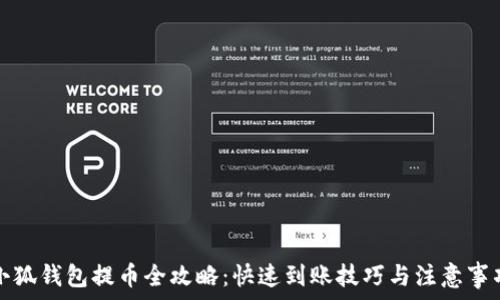   
小狐钱包提币全攻略：快速到账技巧与注意事项