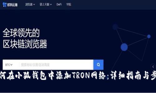 如何在小狐钱包中添加TRON网络：详细指南与步骤