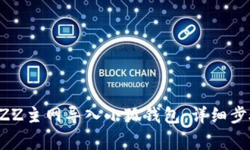如何成功将BZZ主网导入小狐钱包：详细步骤与注意事项