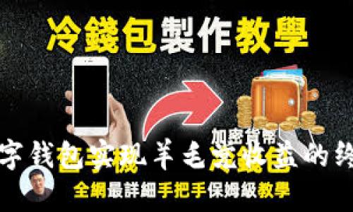 利用数字钱包实现羊毛党收益的终极攻略