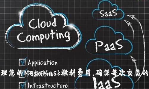 如何有效管理您的MetaMask燃料费用，确保每次交易的高效与经济