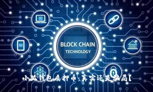 小狐钱包质押币：真实还是骗局？