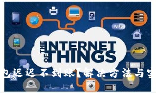 小狐钱包迟迟不到账？解决方法与实用技巧