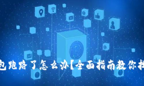 数字钱包跑路了怎么办？全面指南教你找回资金