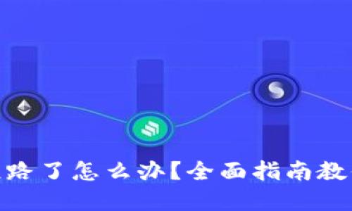 数字钱包跑路了怎么办？全面指南教你找回资金
