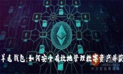 区块链羊毛钱包：如何安