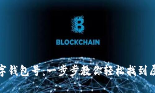 如何快速查询数字钱包号：一步步教你轻松找到属于你的钱包地址