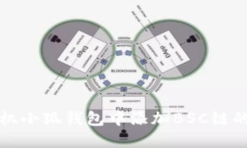 如何在手机小狐钱包中添加BSC链的详细指南