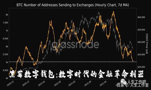 黑莓数字钱包：数字时代的金融革命利器