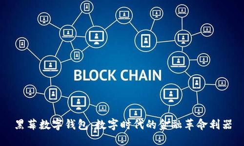 黑莓数字钱包：数字时代的金融革命利器