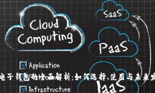 区块链电子钱包的全面解析:如何选择、使用与未来发展趋势