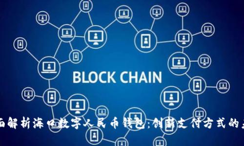 全面解析海口数字人民币钱包：创新支付方式的未来