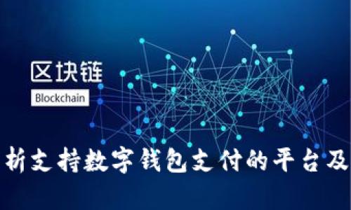 全面分析支持数字钱包支付的平台及其优势