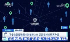   如何安全地将加密货币放入钱包：全面指南