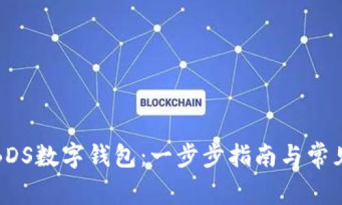 如何注册BDS数字钱包：一步步指南与常见问题解答