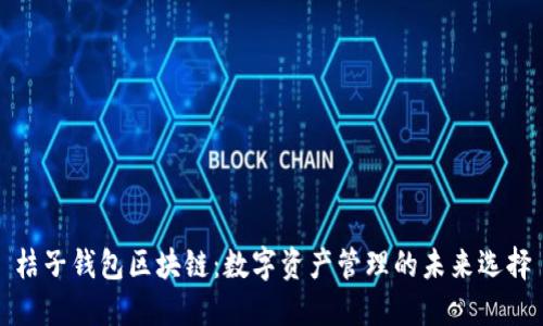 桔子钱包区块链：数字资产管理的未来选择
