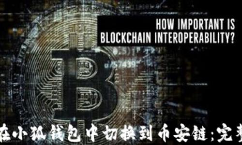 
如何在小狐钱包中切换到币安链：完整指南