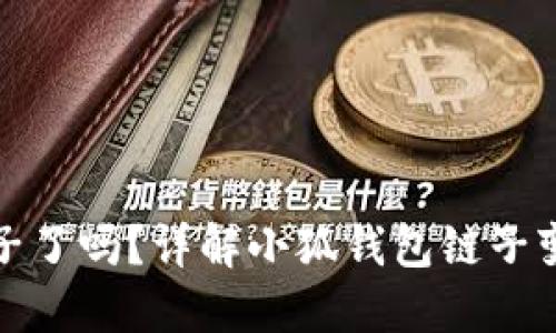 : 小狐钱包换链子了吗？详解小狐钱包链子变更的影响与应用
