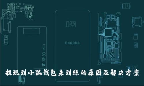提现到小狐钱包未到账的原因及解决方案