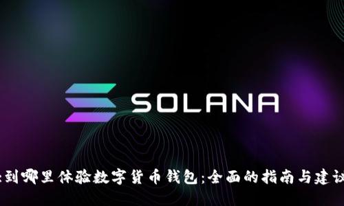 :到哪里体验数字货币钱包：全面的指南与建议