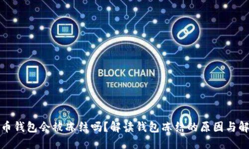 数字货币钱包会被冻结吗？解读钱包冻结的原因与解决方案