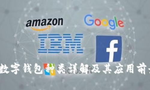  数字钱包种类详解及其应用前景