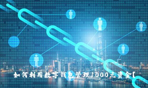 如何利用数字钱包管理1000元资金？