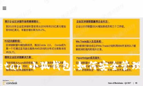 全面解析 Thetan 小狐钱包：如何安全管理加密货币投资