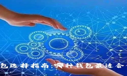 区块链钱包选择指南：哪种钱包最适合你的需求？