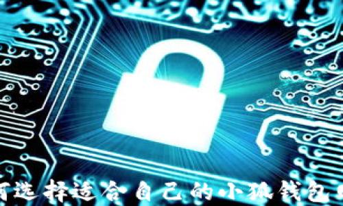 
如何选择适合自己的小狐钱包网络