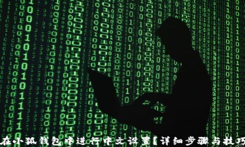 
如何在小狐钱包中进行中文设置？详细步骤与技巧指南