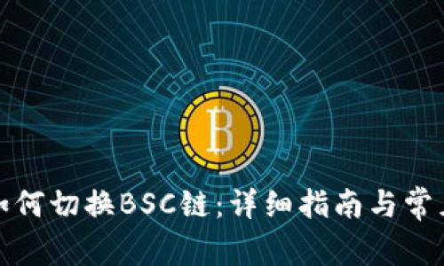 小狐钱包如何切换BSC链：详细指南与常见问题解答