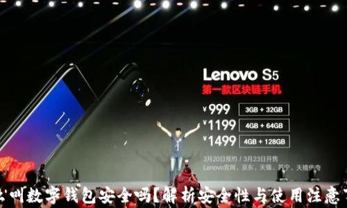 
什么叫数字钱包安全吗？解析安全性与使用注意事项