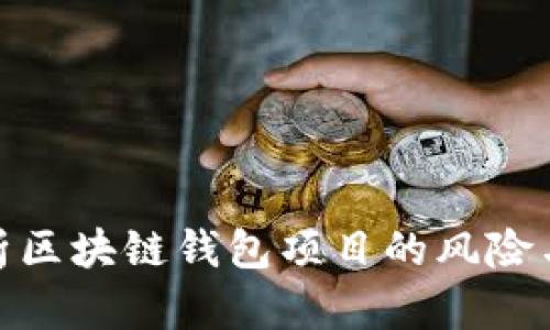 : 全面解析区块链钱包项目的风险与应对策略