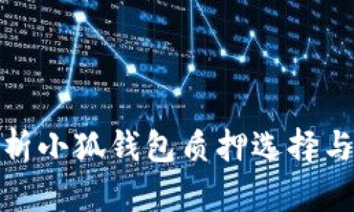 全方位解析小狐钱包质押选择与投资策略