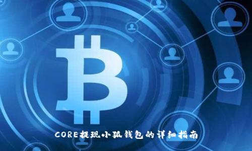 CORE提现小狐钱包的详细指南