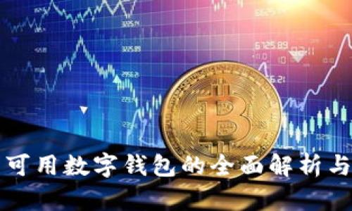 中国可用数字钱包的全面解析与比较
