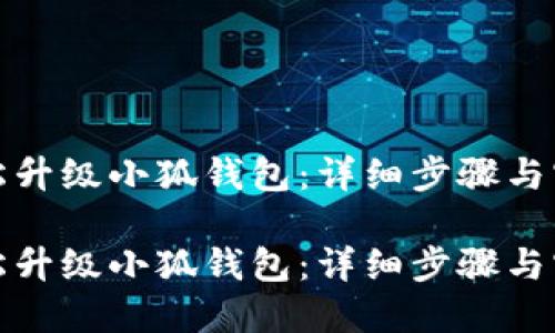 如何轻松升级小狐钱包：详细步骤与实用技巧

如何轻松升级小狐钱包：详细步骤与实用技巧