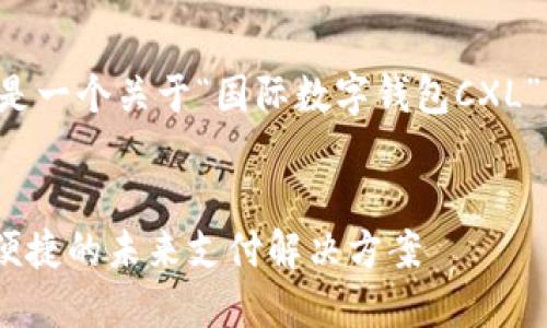 为了提供有价值的内容，以下是一个关于“国际数字钱包CXL”的、关键词和详细介绍的示例。


探索国际数字钱包CXL：安全便捷的未来支付解决方案