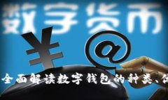 数字钱包系列：全面解读