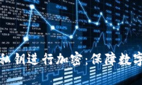 如何对钱包中的私钥进行加密：保障数字资产安全的方法