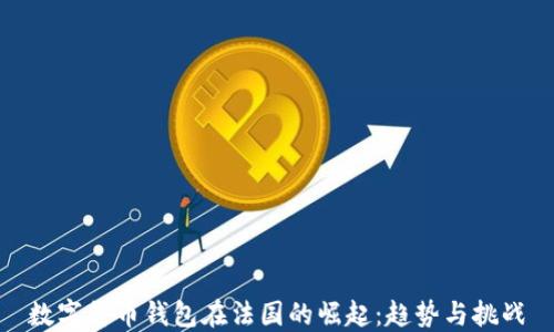 
数字货币钱包在法国的崛起：趋势与挑战