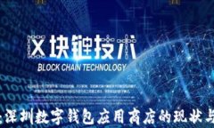 全面解析：深圳数字钱包