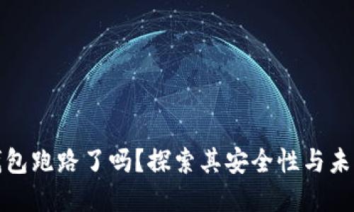 数字钱包跑路了吗？探索其安全性与未来发展