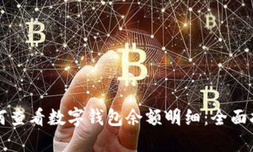 如何查看数字钱包余额明细：全面指南