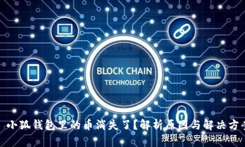 : 小狐钱包里的币消失了？解析原因与解决方案